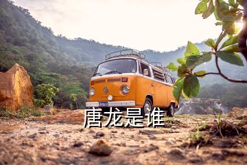 唐龍是誰