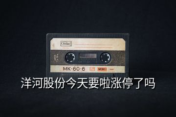 洋河股份今天要啦漲停了嗎