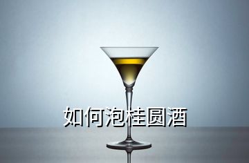如何泡桂圓酒