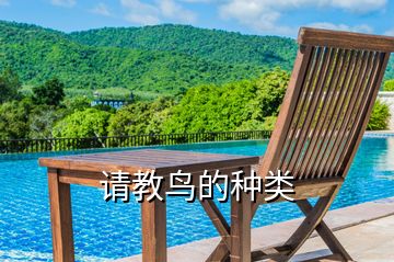 請(qǐng)教鳥(niǎo)的種類