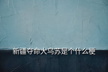 新疆奪命大烏蘇是個什么梗