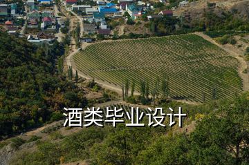 酒類(lèi)畢業(yè)設(shè)計(jì)
