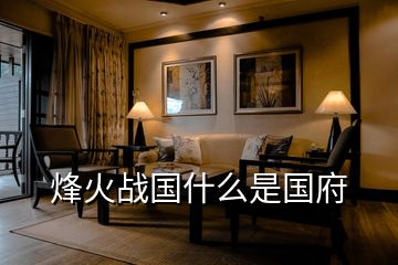 烽火戰(zhàn)國(guó)什么是國(guó)府
