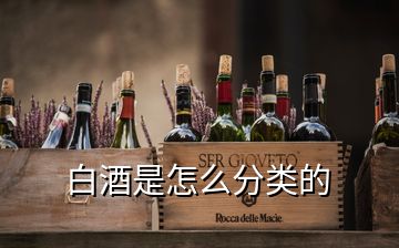 白酒是怎么分類(lèi)的