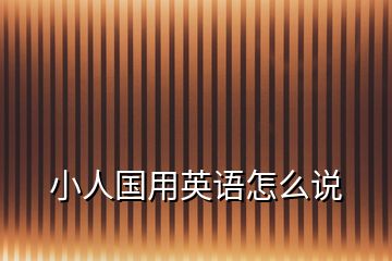 小人國(guó)用英語怎么說