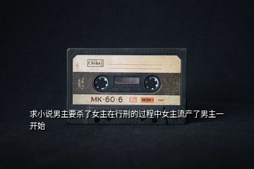 求小說男主要殺了女主在行刑的過程中女主流產(chǎn)了男主一開始