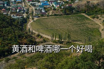 黃酒和啤酒哪一個好喝