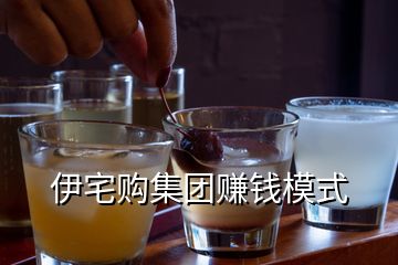 伊宅購(gòu)集團(tuán)賺錢(qián)模式