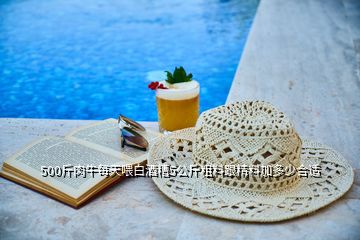 500斤肉牛每天喂白酒糟5公斤粗料跟精料加多少合適