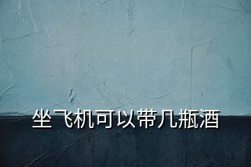 坐飛機可以帶幾瓶酒