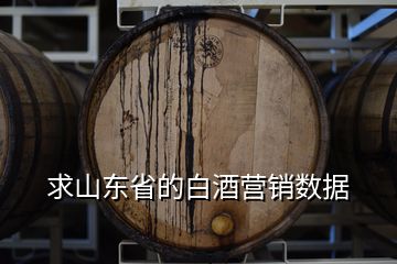 求山東省的白酒營(yíng)銷(xiāo)數(shù)據(jù)