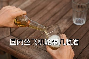 國內(nèi)坐飛機能帶幾瓶酒