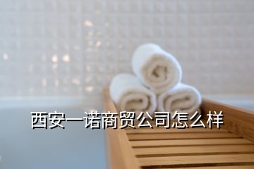 西安一諾商貿公司怎么樣