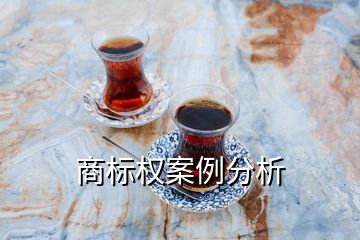 商標權案例分析