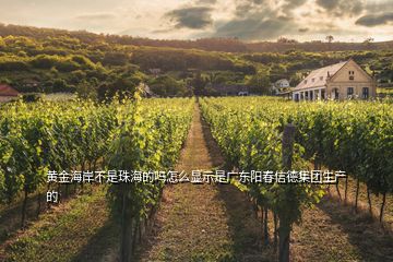 黃金海岸不是珠海的嗎怎么顯示是廣東陽春信德集團生產的