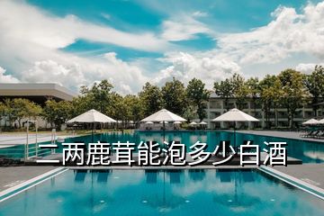 二兩鹿茸能泡多少白酒