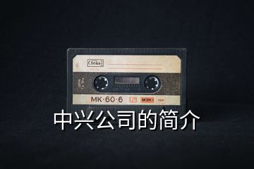 中興公司的簡(jiǎn)介