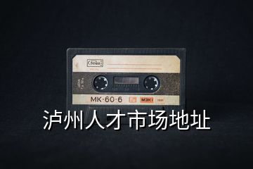 瀘州人才市場地址