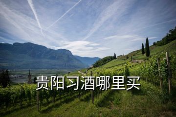 貴陽習酒哪里買