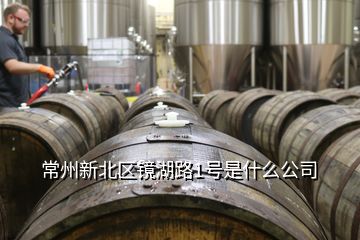 常州新北區(qū)鏡湖路1號(hào)是什么公司