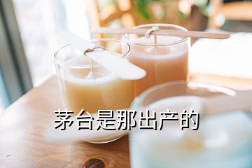 茅臺是那出產的