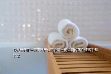 我是新開的一家房地產(chǎn)公司要寫一份公司的簡(jiǎn)介請(qǐng)高手幫忙急
