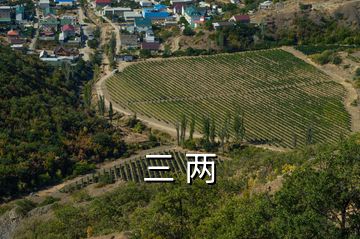 三 兩