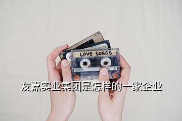 友嘉實業(yè)集團(tuán)是怎樣的一家企業(yè)