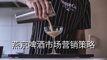 燕京啤酒市場(chǎng)營(yíng)銷策略