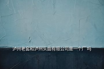瀘州老窖和瀘州頭曲有限公司是一個(gè)廠 嗎