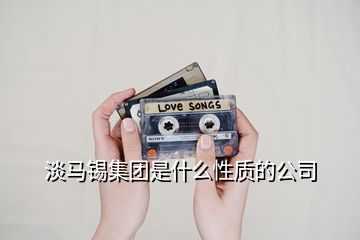 淡馬錫集團是什么性質(zhì)的公司