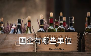 國(guó)企有哪些單位