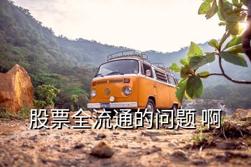 股票全流通的問(wèn)題 啊