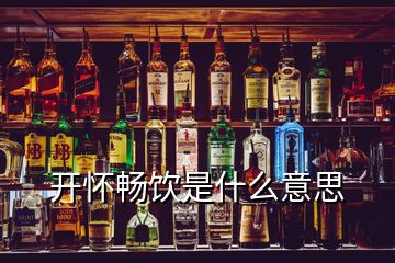 開(kāi)懷暢飲是什么意思