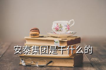安泰集團(tuán)是干什么的