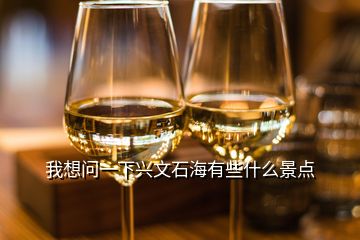 我想問一下興文石海有些什么景點(diǎn)