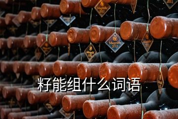 籽能組什么詞語(yǔ)