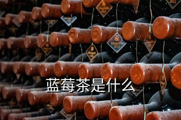 藍(lán)莓茶是什么