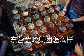 東營(yíng)金嶺集團(tuán)怎么樣