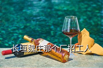 長垣魏莊那個(gè)廠招工人