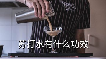 蘇打水有什么功效