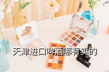 天津進口啤酒哪有賣的