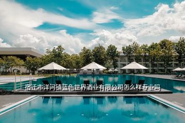 宿遷市洋河鎮(zhèn)藍色世界酒業(yè)有限公司怎么樣專業(yè)嗎