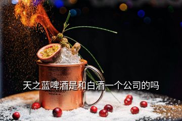 天之藍(lán)啤酒是和白酒一個公司的嗎