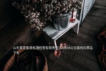 山東萊蕪魯源名酒經(jīng)營(yíng)有限責(zé)任公司204公交路線在哪站下車
