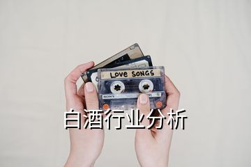 白酒行業(yè)分析