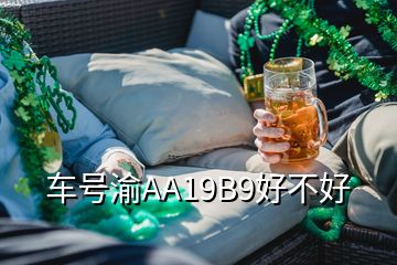 車號(hào)渝AA19B9好不好