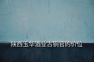 陜西玉華酒業(yè)古銅官的價(jià)位