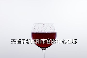 天語(yǔ)手機(jī)咸陽(yáng)市客服中心在哪