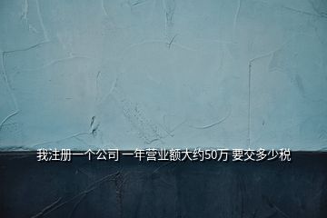 我注冊一個公司 一年營業(yè)額大約50萬 要交多少稅